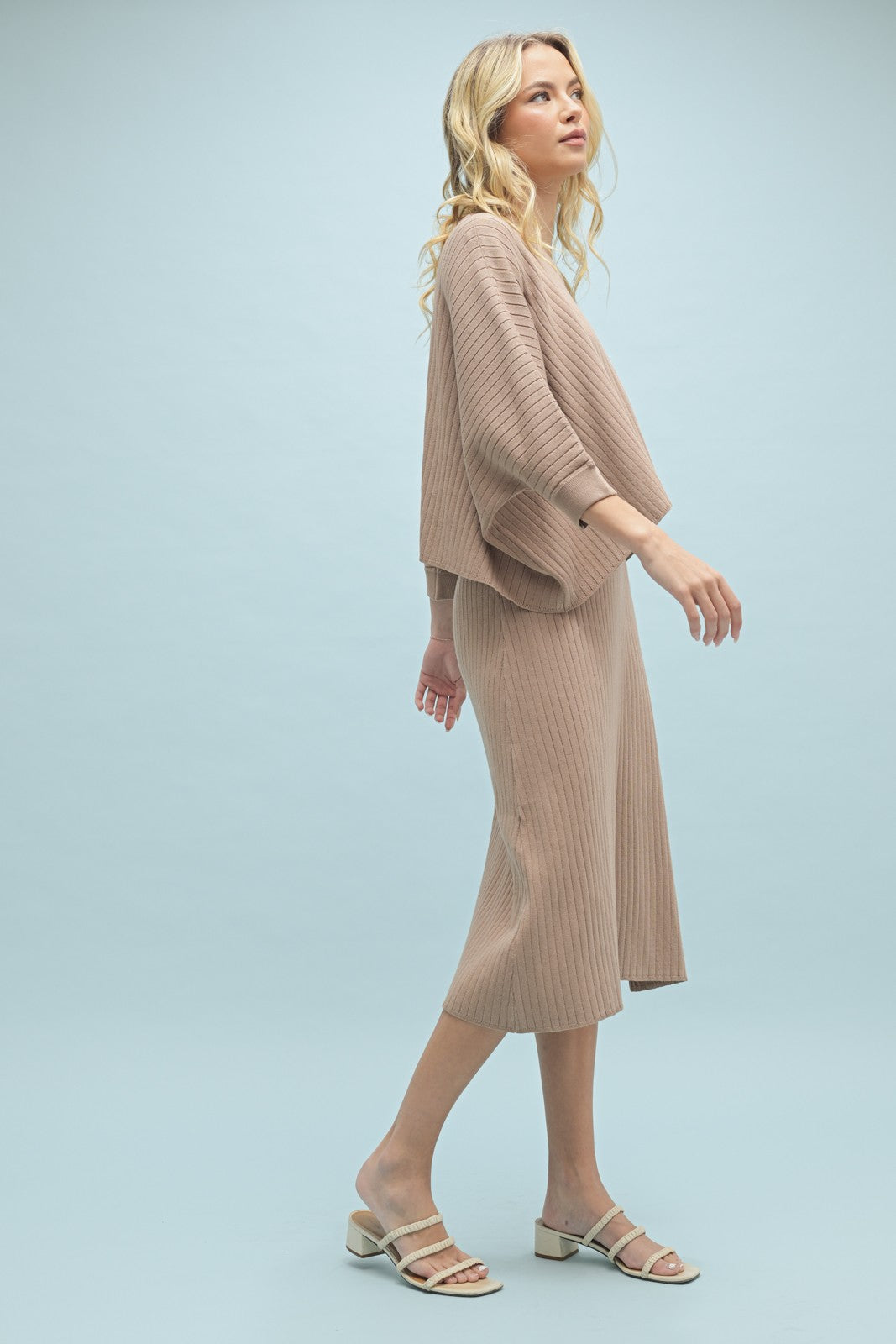 RESTOCKED - The Mina Ribbed Knit Dress Set in Mocha