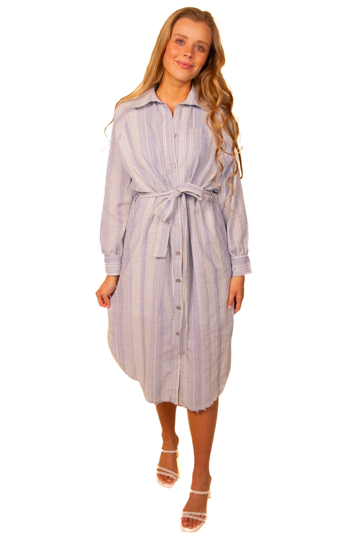 The Kayla Collar Dress in Blue Stripe