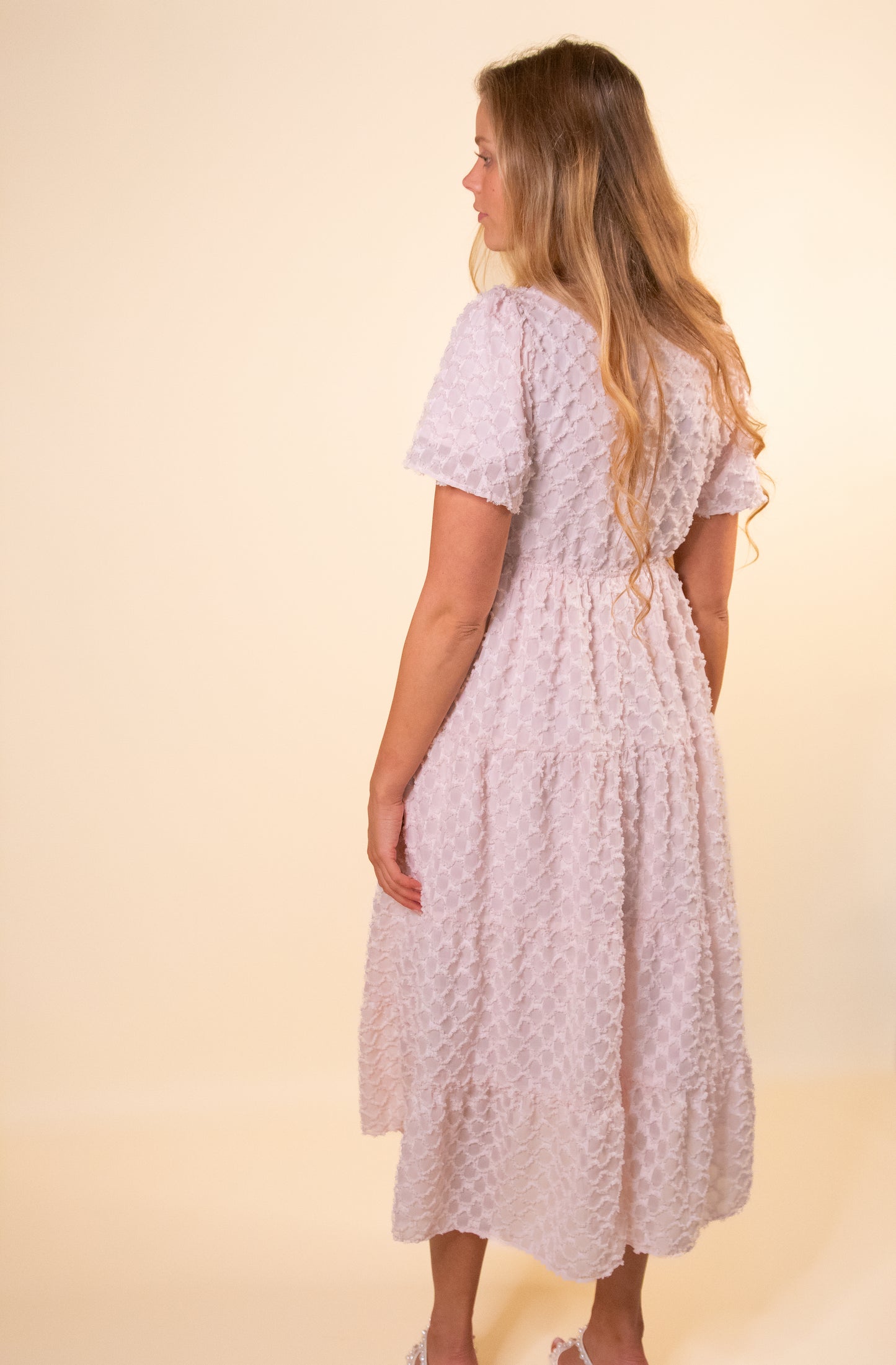 The Ellis Textured Chiffon Dress in Blush