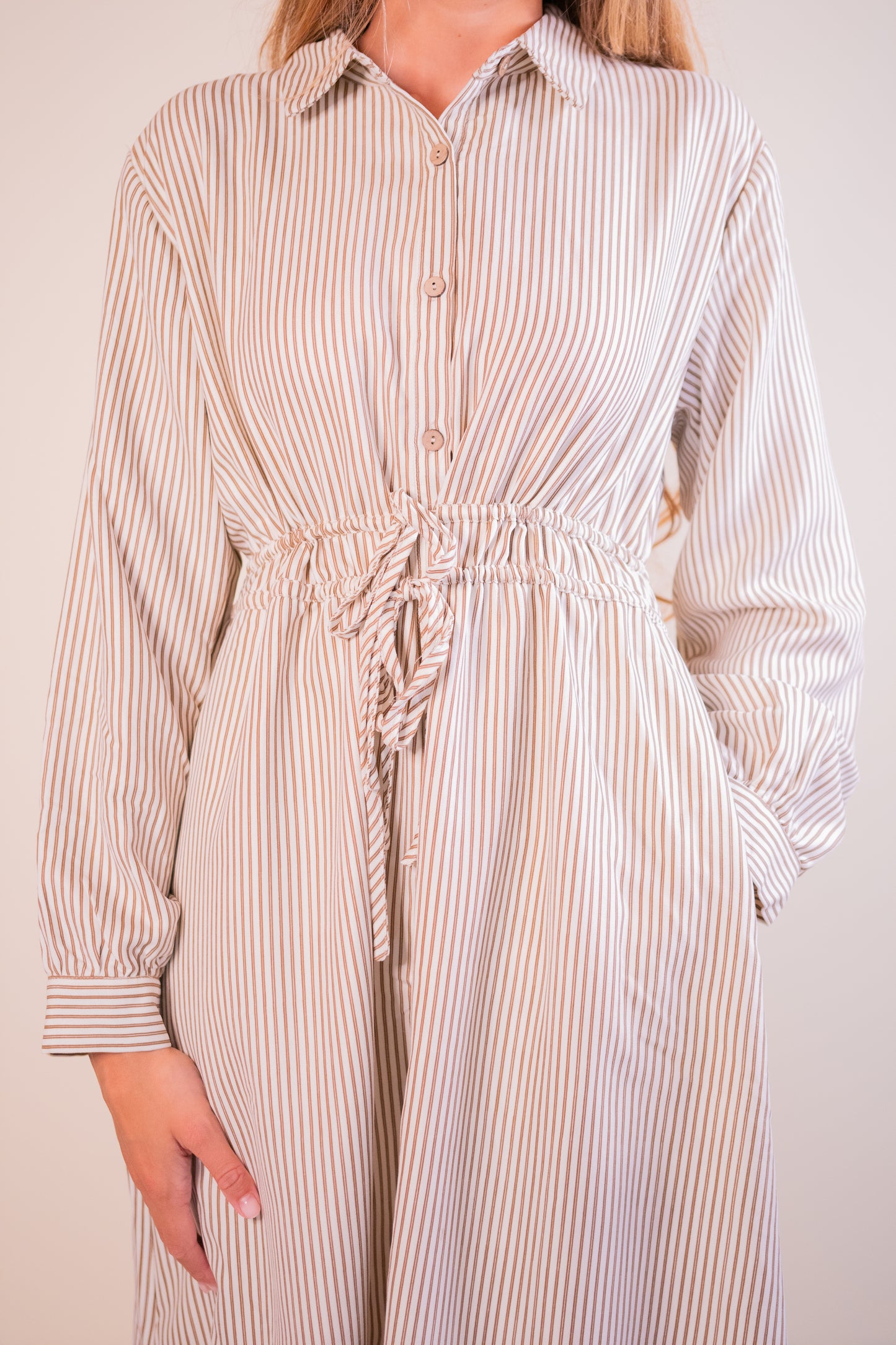 The Charlotte Collared Dress in Tan Stripe