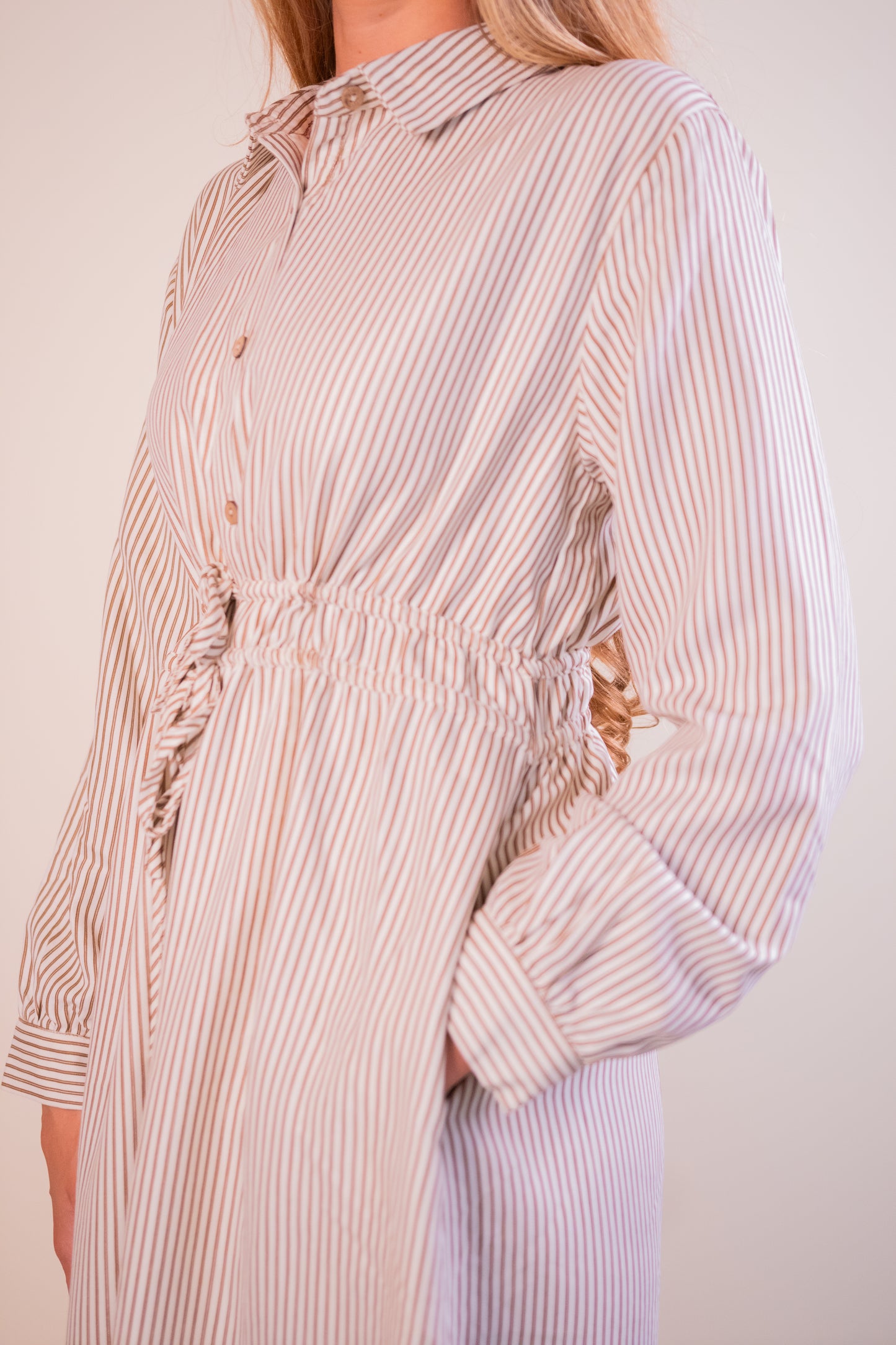 The Charlotte Collared Dress in Tan Stripe