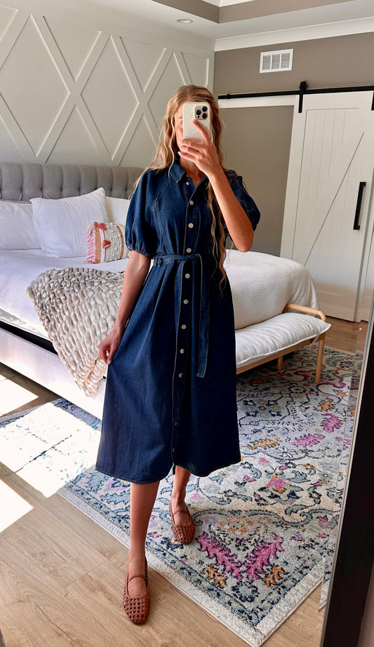The Stella Snap Denim Shirt Dress