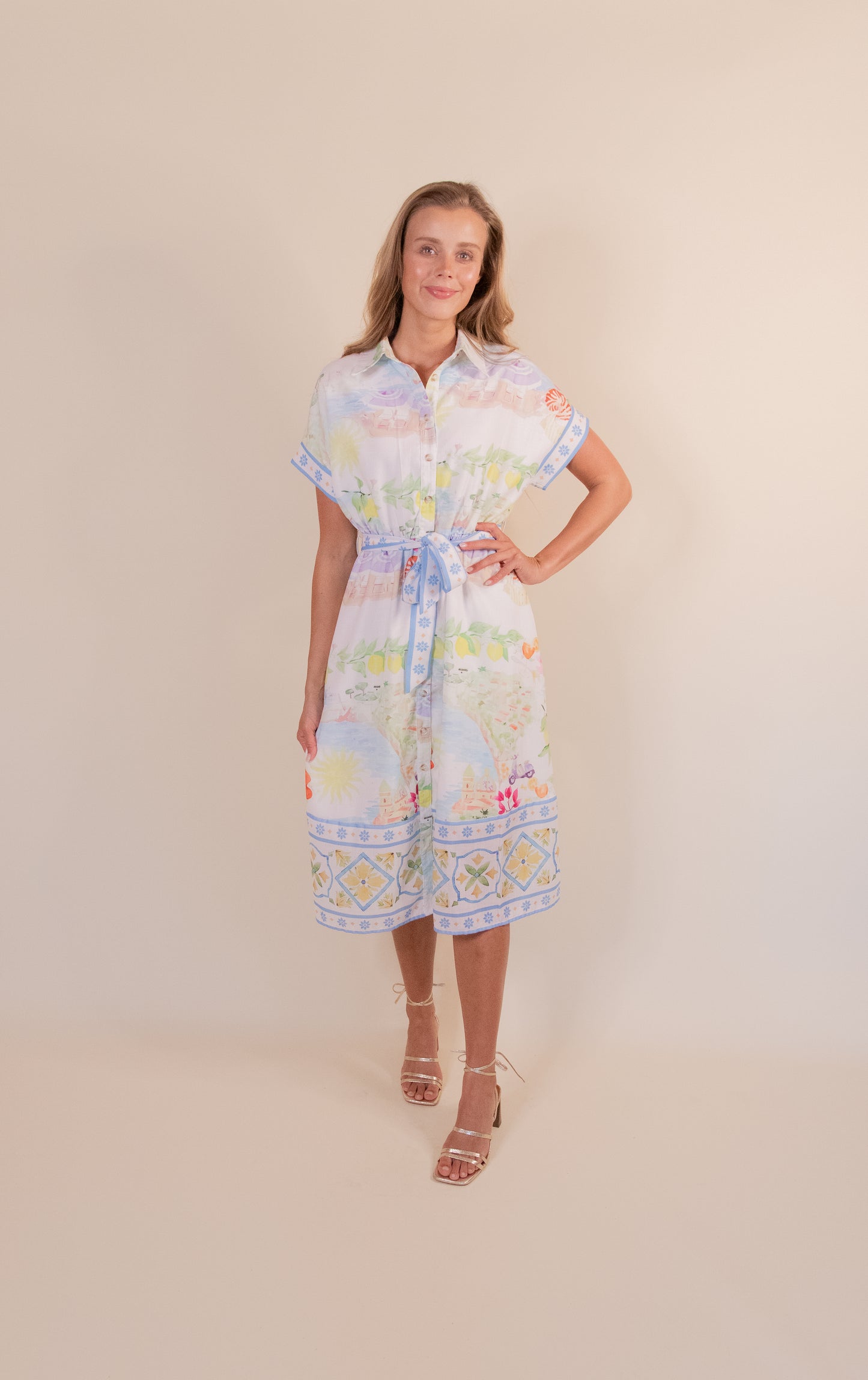 The Euro Charm Shirt Dress