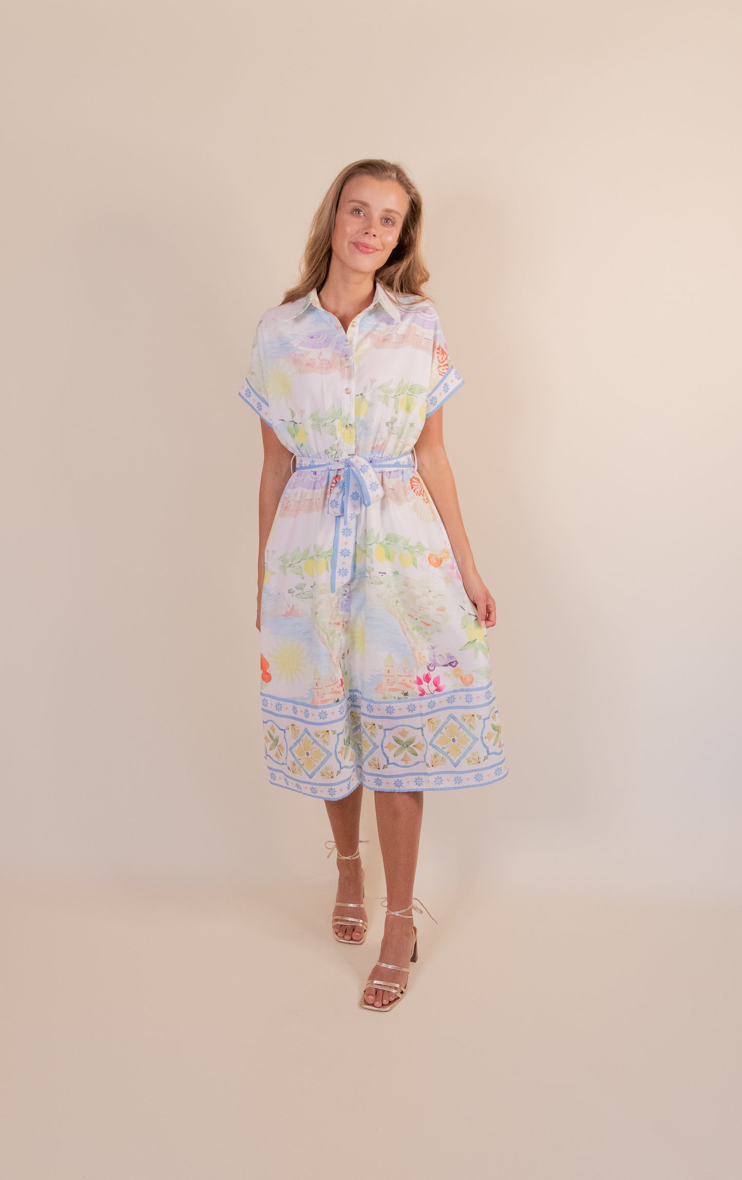 The Euro Charm Shirt Dress